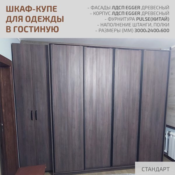 Шкаф-купе в гостиную